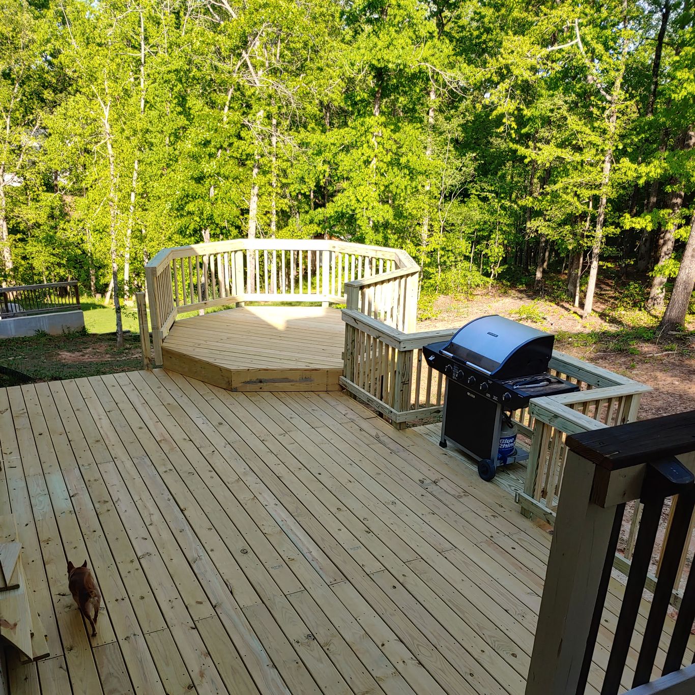 Polk Pros project 13